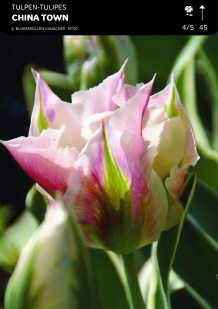 images/productimages/small/n750a5.jpg