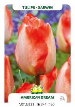 images/productimages/small/n933.jpg