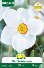 images/productimages/small/pr010w.jpg