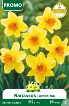 images/productimages/small/pr012w.jpg
