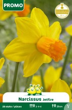 images/productimages/small/pr021w.jpg