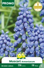 images/productimages/small/pr022w.jpg