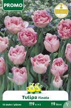 images/productimages/small/pr026.jpg