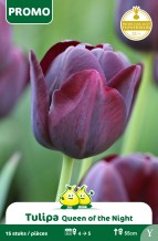 images/productimages/small/pr031.jpg