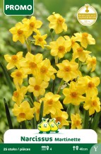 images/productimages/small/pr068w.jpg