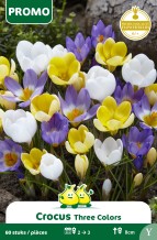 images/productimages/small/pr128w.jpg