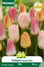 images/productimages/small/pr177.jpg
