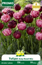 images/productimages/small/pr178.jpg