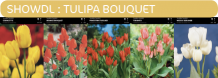 images/productimages/small/showdl.png