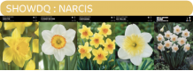 images/productimages/small/showdq.png