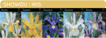 images/productimages/small/showdv.png