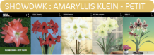 images/productimages/small/showdwk.png