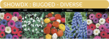 images/productimages/small/showdx.png