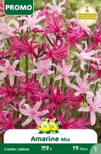 Zakjes Amarine mix 3 bollen