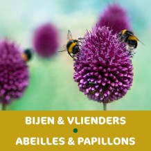 images/productimages/small/vulbij.jpg