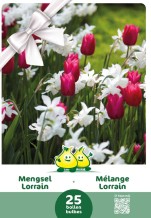 images/productimages/small/zcmlor.jpg