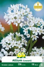 images/productimages/small/zn007w.jpg
