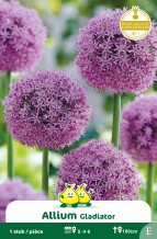 images/productimages/small/zn013w.jpg