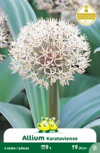 images/productimages/small/zn018w.jpg