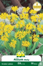 images/productimages/small/zn021w.jpg
