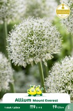 images/productimages/small/zn023w.jpg
