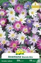 images/productimages/small/zn065w.jpg