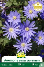 images/productimages/small/zn066w.jpg