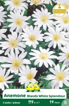 images/productimages/small/zn068w.jpg