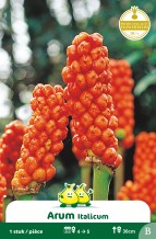 images/productimages/small/zn086w.jpg