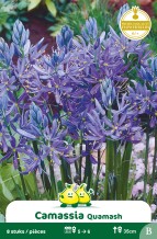 images/productimages/small/zn109w.jpg