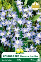 images/productimages/small/zn115w.jpg