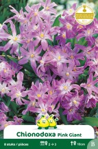 images/productimages/small/zn116w.jpg