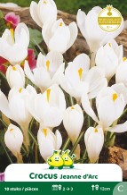 images/productimages/small/zn131w.jpg