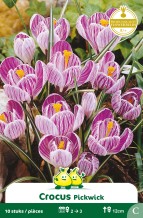 images/productimages/small/zn132w.jpg