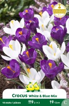 images/productimages/small/zn137w.jpg