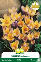 images/productimages/small/zn140w.jpg
