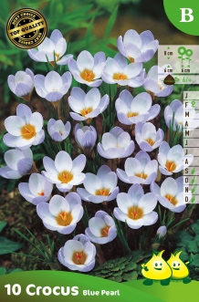 images/productimages/small/zn143.jpg