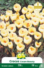 images/productimages/small/zn144w.jpg