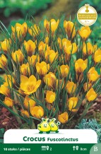 images/productimages/small/zn147w.jpg