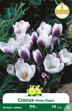 images/productimages/small/zn149w.jpg