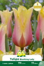images/productimages/small/zn1511.jpg