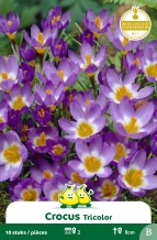 images/productimages/small/zn152w.jpg