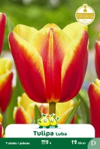images/productimages/small/zn1535.jpg