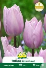 images/productimages/small/zn1536.jpg