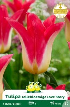 SACHET TULIPES FLEUR DE LIS LILYROSA - kopie