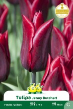 images/productimages/small/zn1561.jpg