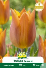 images/productimages/small/zn1567.jpg