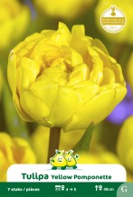 images/productimages/small/zn1571.jpg