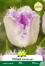 images/productimages/small/zn1588.jpg