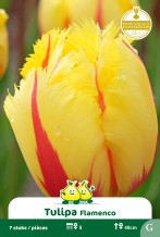 images/productimages/small/zn1589.jpg